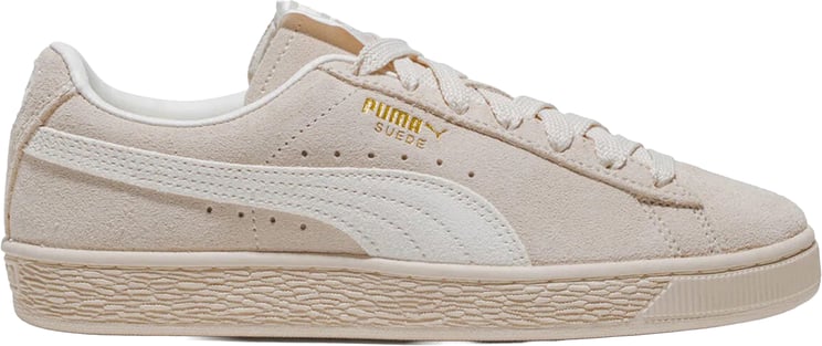 Puma Sneakers Gray