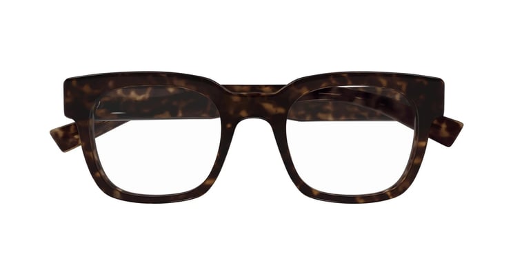 Saint Laurent Eyeglasses SL 805 002 Havana Havana Transpa 51/22/145