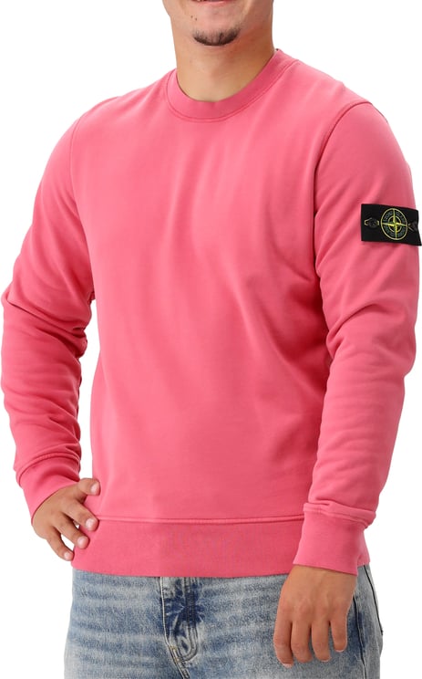 Stone Island Stone Island Sweater Roze