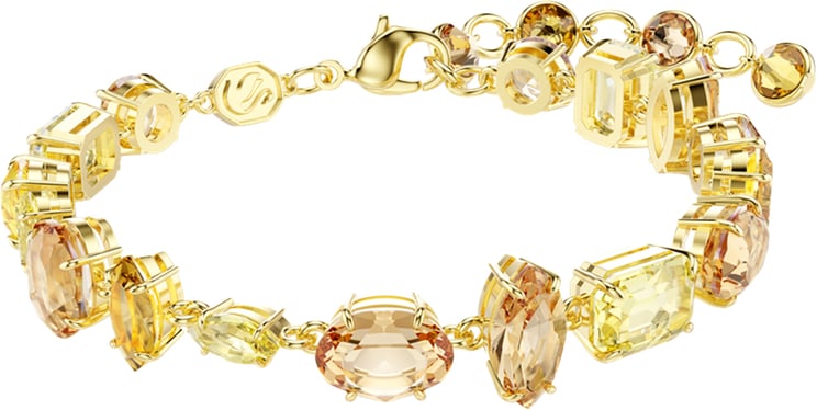 Swarovski Swarovski - Armband - Goud