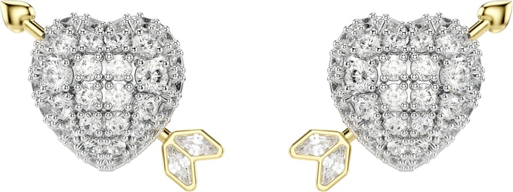 Swarovski Swarovski - Oorbellen - Goud