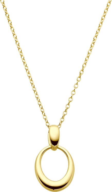 The House Of Blinckers THOB Collier 40.30526 14k Geelgoud Ovaal met Anker Schakel 42-44cm