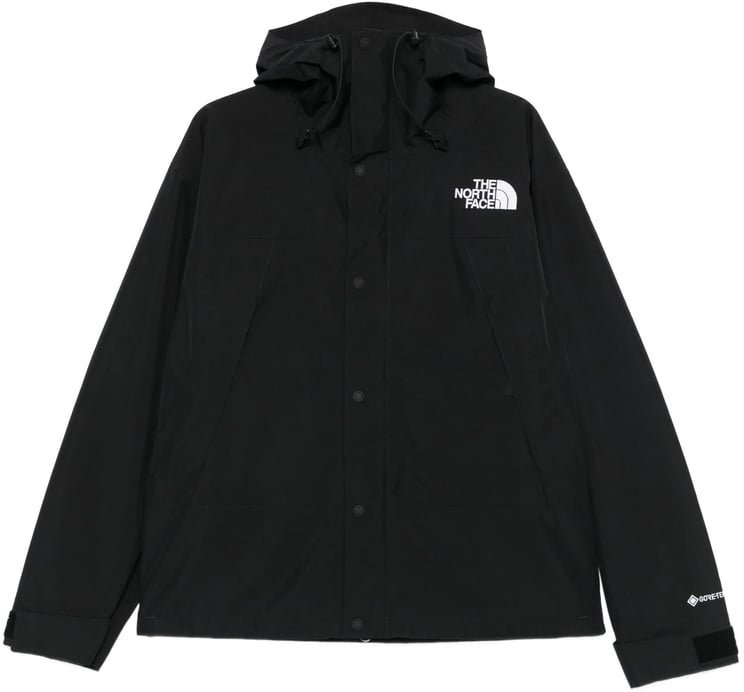 The North Face m gtx mountain jacket divers