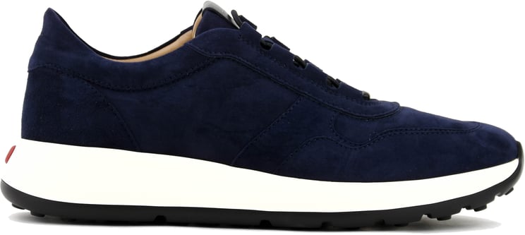 Tod's Tod's Red Dot Sneaker Pashmy Suede Navy