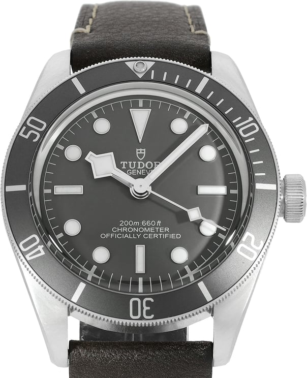 Tudor Black Bay