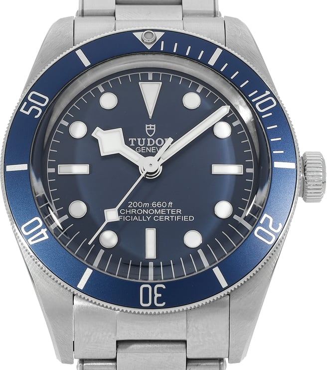 Tudor Black Bay