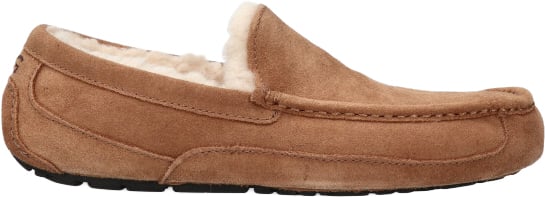 UGG UGG ASCOT M 1101110 CHE