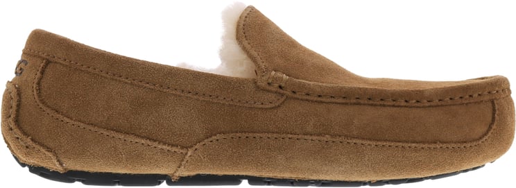 UGG Heren Ascot