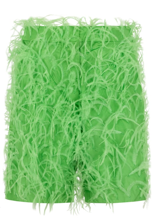 Valentino Short green pants with feathers.