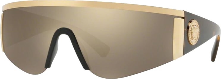 Versace Versace Gold Acetate Sunglasses