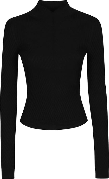 Victoria Beckham Georgia Turtle Neck Sweater Black