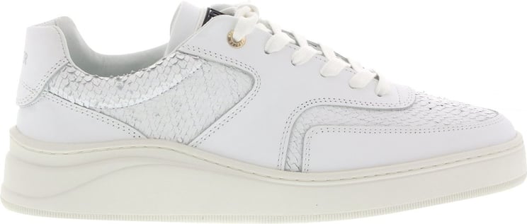 Mercer Amsterdam Sneakers Lowtop Gum Leather Python Wit Wit