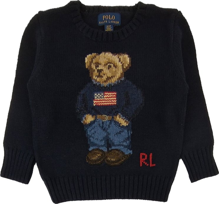 Ralph Lauren Blue Boy Sweater Blauw