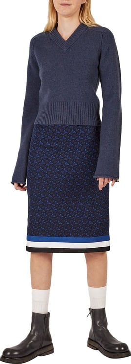 Burberry Skirt Odette Blauw