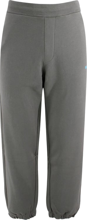 Trousers Gray