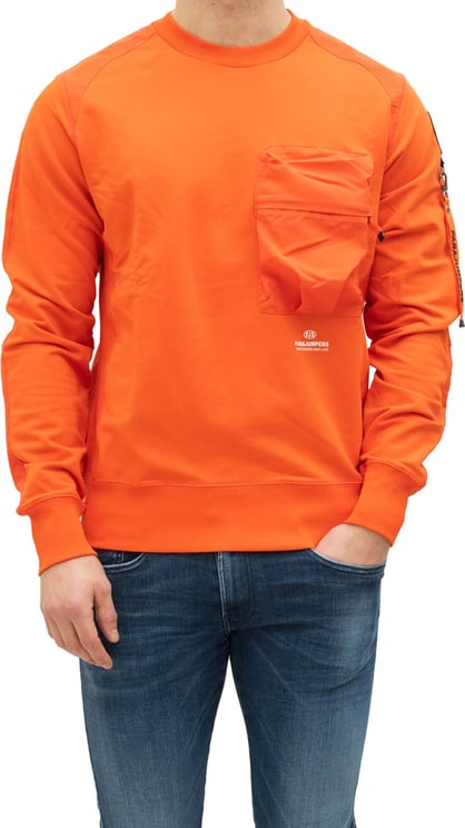 Sweater Sabre Carrot