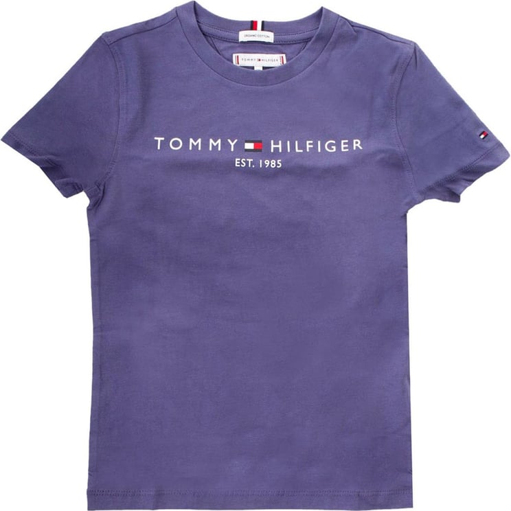 Tommy Hilfiger T-shirts And Polos Blue Blauw
