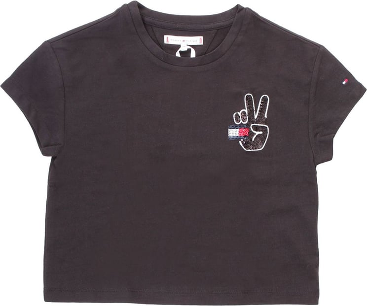 Tommy Hilfiger T-shirts And Polos Black Zwart