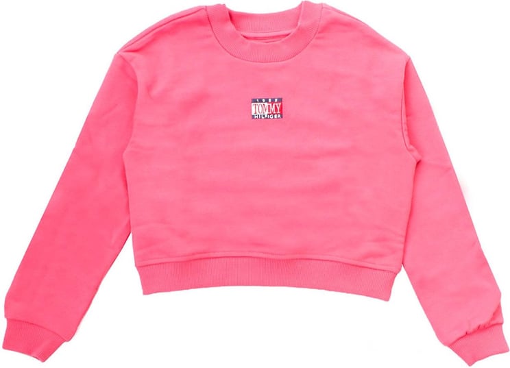 Tommy Hilfiger Sweaters Pink Roze