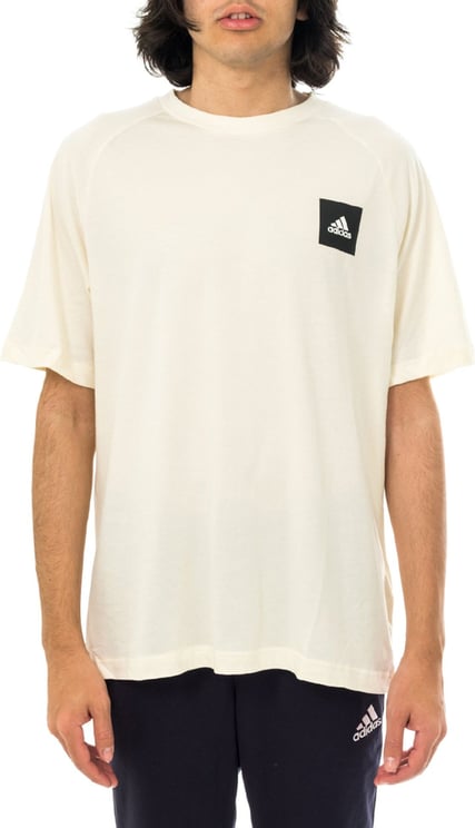 Adidas T-shirt Man Mhe Tee Sta Gl6190 White