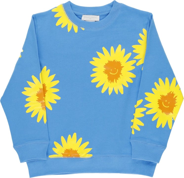 Sweaters Celeste/giallo