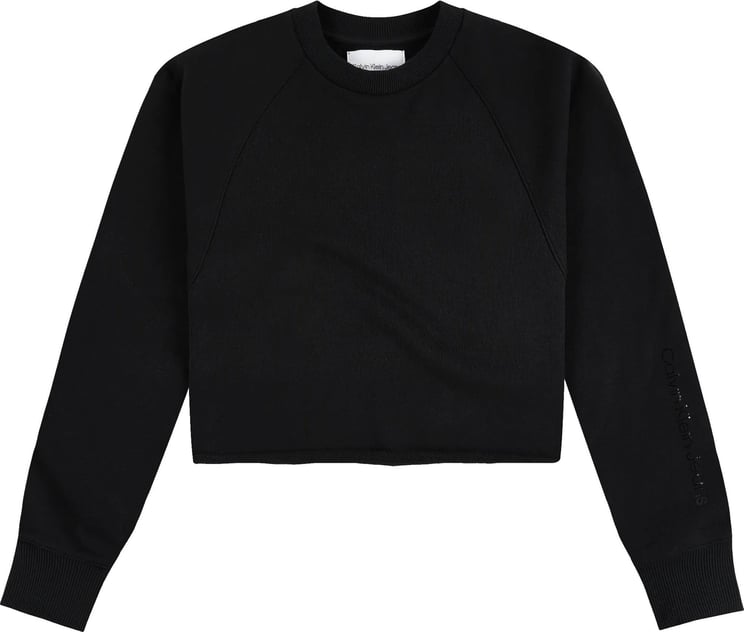 Calvin Klein Sweatshirt Woman Shiny Logo Blocking J20j217736.beh Zwart
