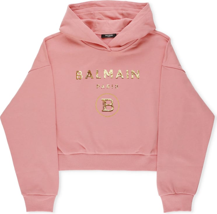 Balmain Sweaters Pink Neutraal