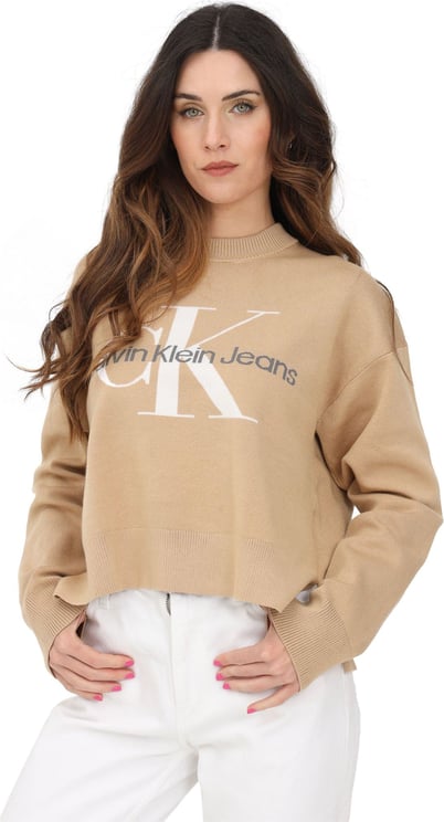 Calvin Klein Sweaters Brown Bruin