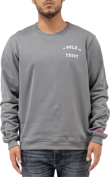 In Gold We Trust The Slim Light Sweater Grijs