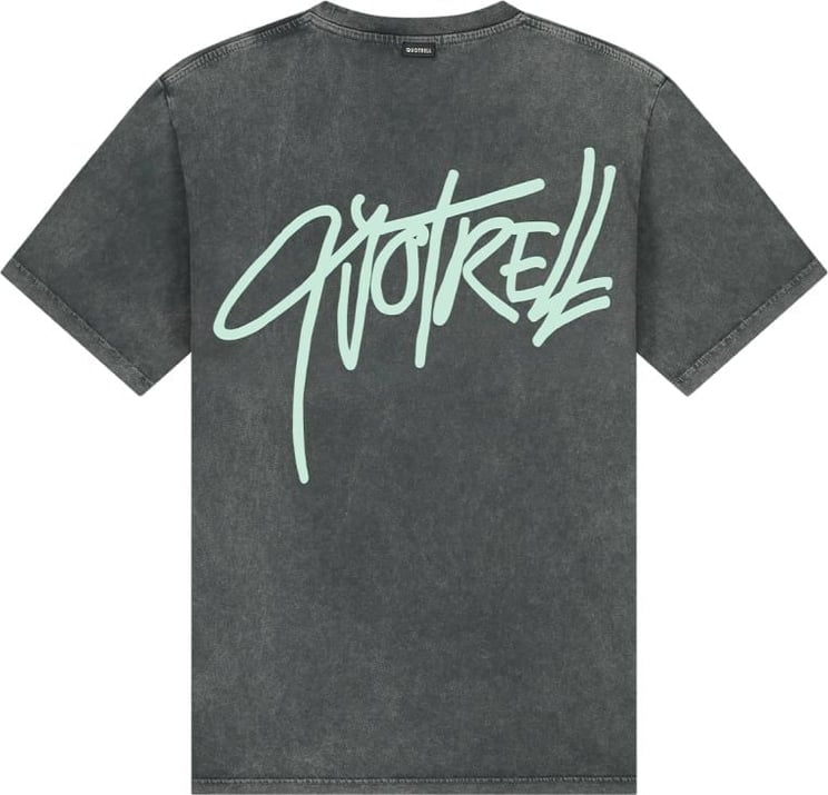 Quotrell Monterey T-shirt | Acid Grey / Mint Grijs