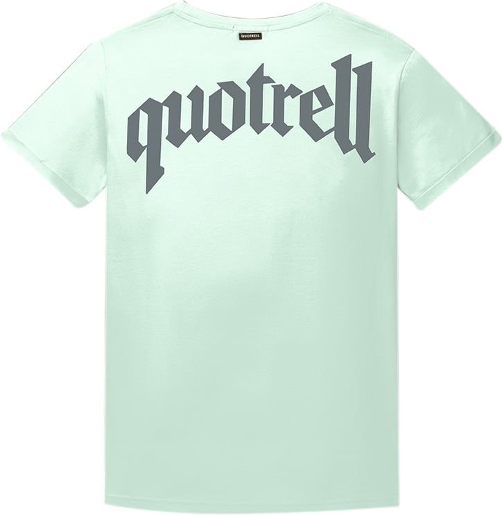 Quotrell Wing T-shirt | Mint / Grey Blauw