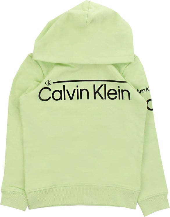 Calvin Klein Sweaters Lightgreen (lime) Groen