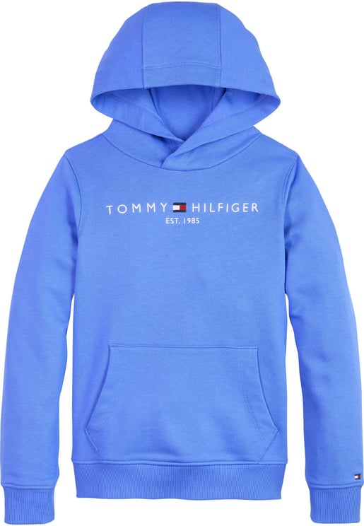 Tommy Hilfiger Essential Hoodie Blauw Blauw