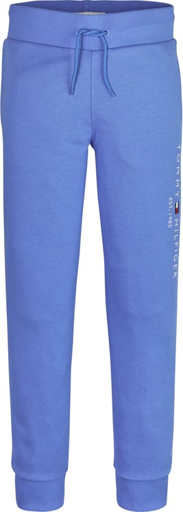 Tommy Hilfiger Essential Sweatpants Blauw Blauw