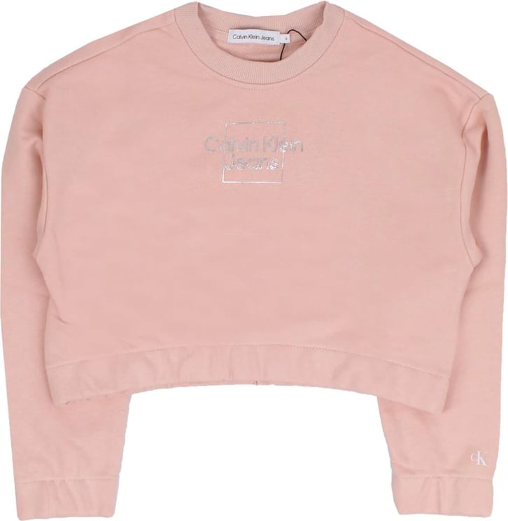 Calvin Klein Sweaters Pink Roze