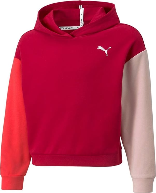 Puma Sweatshirt Kid Modern Sports Hoodie 589214.33 Rood