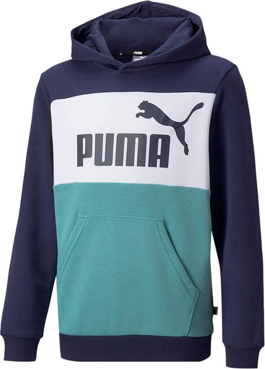 Puma Sweatshirt Kid Ess+ Colorblock Hoodie 849082.06 Divers