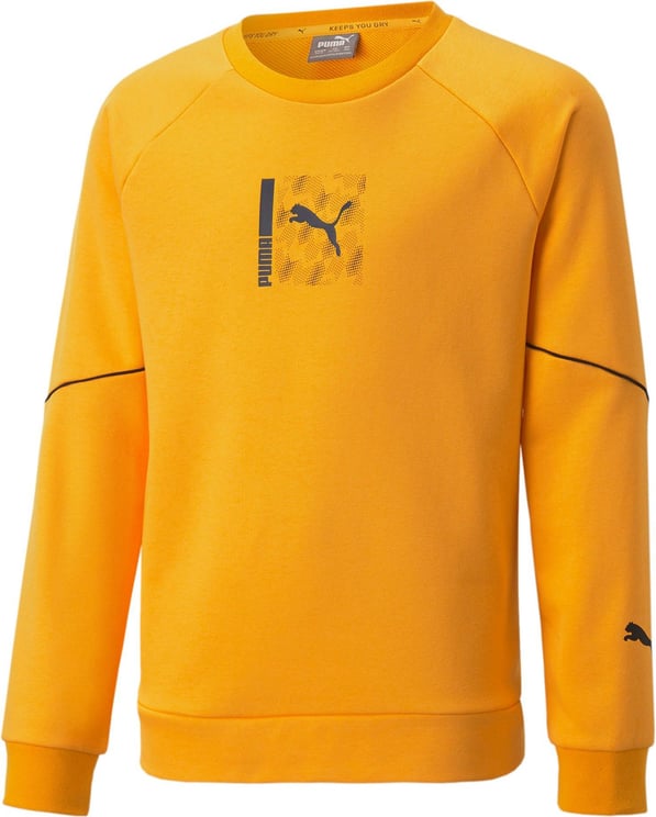 Puma Sweatshirt Kid Active Sports Crew 670074.39 Oranje