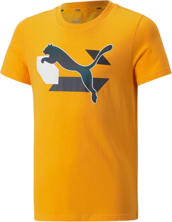 Puma T-shirt Kid Alpha Graphic Tee 670101.39 Oranje