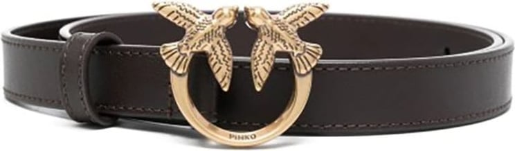Pinko Belts Brown Bruin