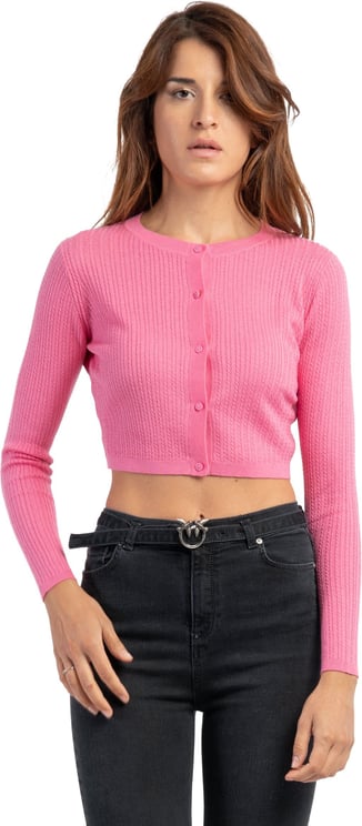 Max Mara Max Mara Sweaters Pink Roze