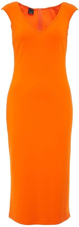Pinko Dress Ambizioso Orange Oranje