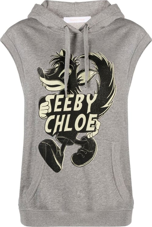 See by Chloe See By Chloé Sweaters Gray Grijs
