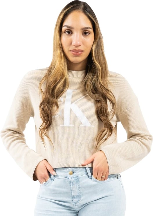 Calvin Klein Blown Up Ck Loose Sweater Beige