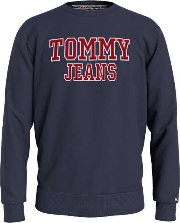 Tommy Hilfiger Graphic Sweater Blauw